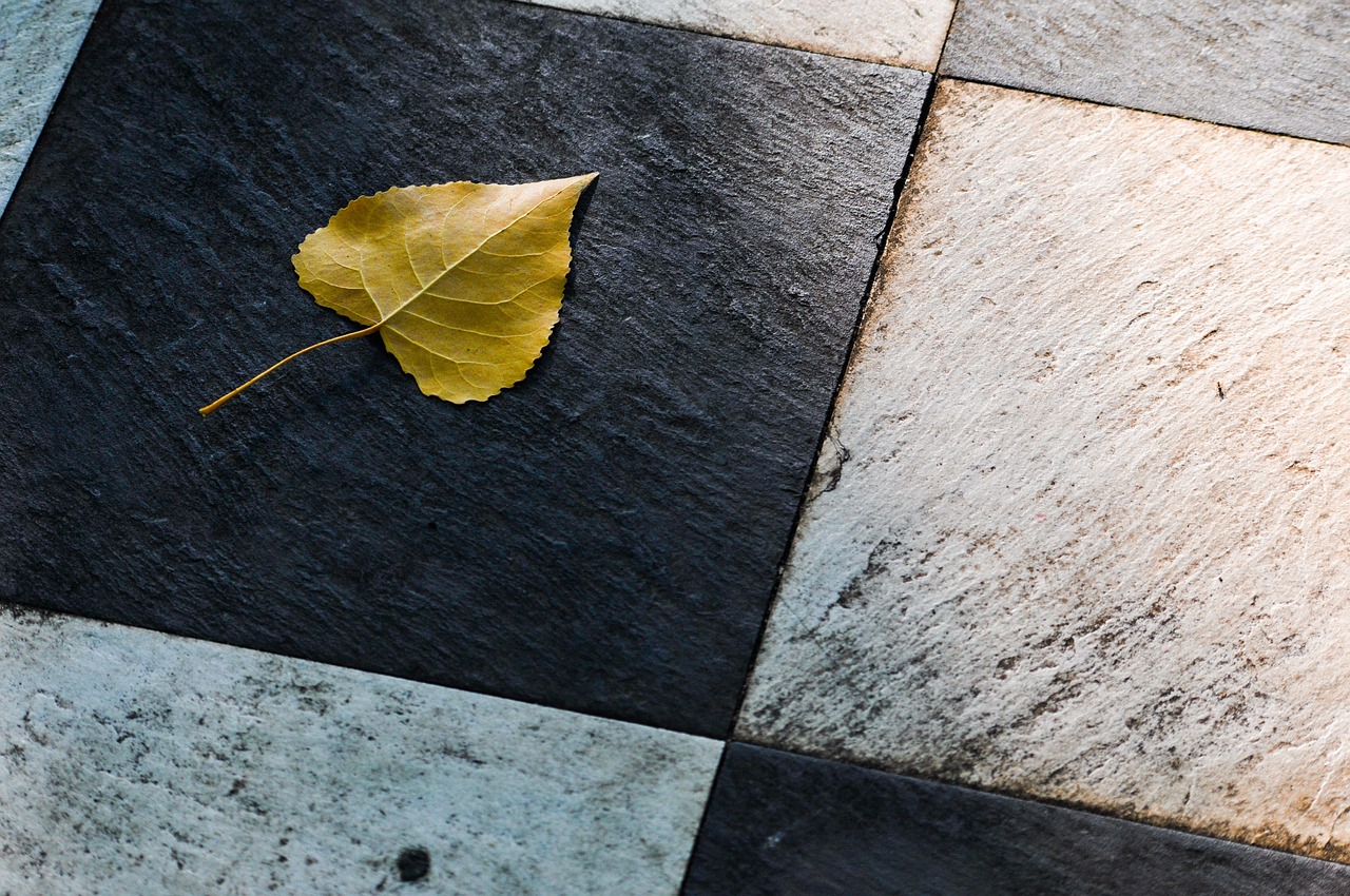 Types of Tiles Available at Tile Stores: From Ceramic to Porcelain to Natural Stone
