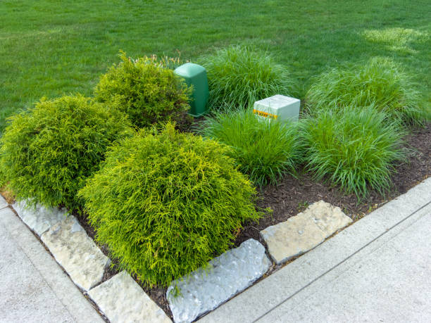 Landscape Ideas to Improve the Curb Appeal of Your Home